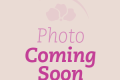 Photo-Coming-Soon-2