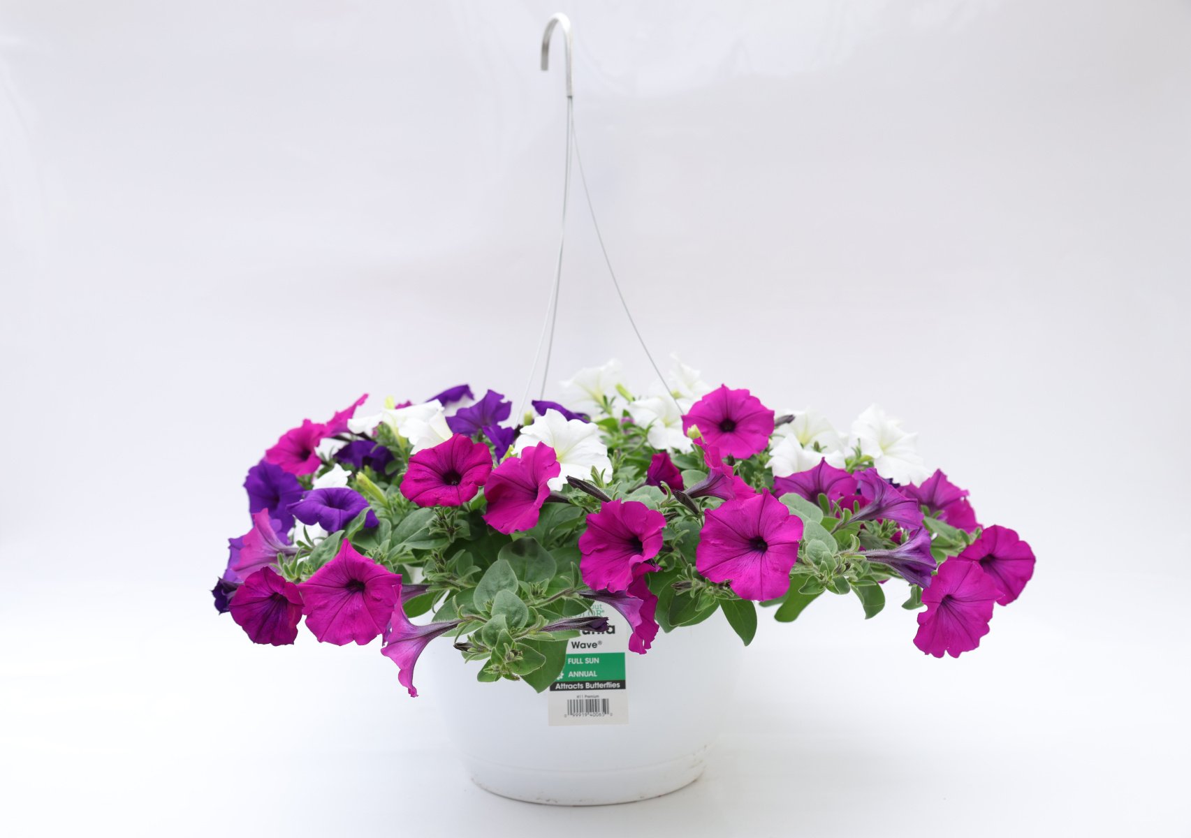 3252-Mix-Pet-EW-BlueVioWhite_PEWMIX134_2206_3252_3