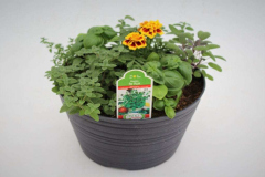 3414-Herbs-for-Pizza-1024x683-1