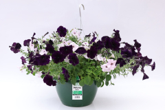 3504-Mix-Pet-EW-NavySilver_PEWMIX150_2202_1