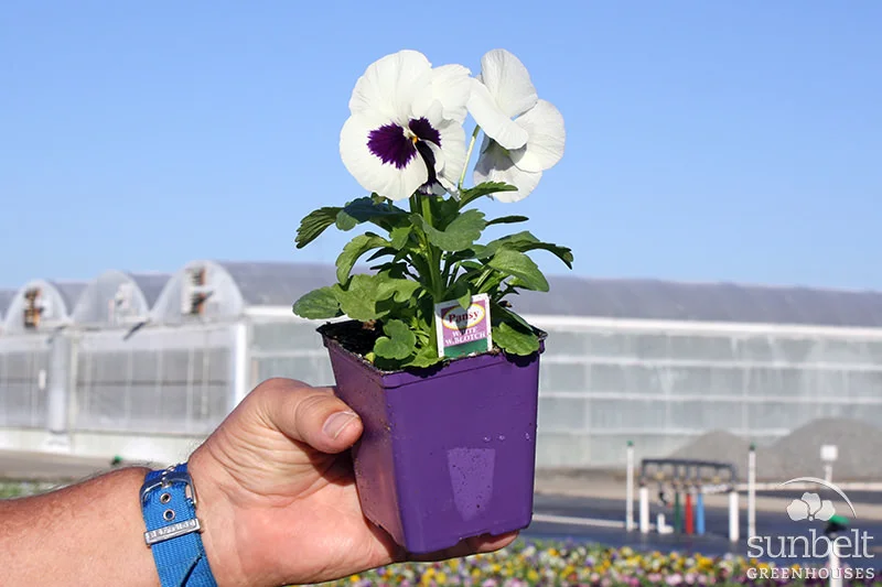 Placeholder Image